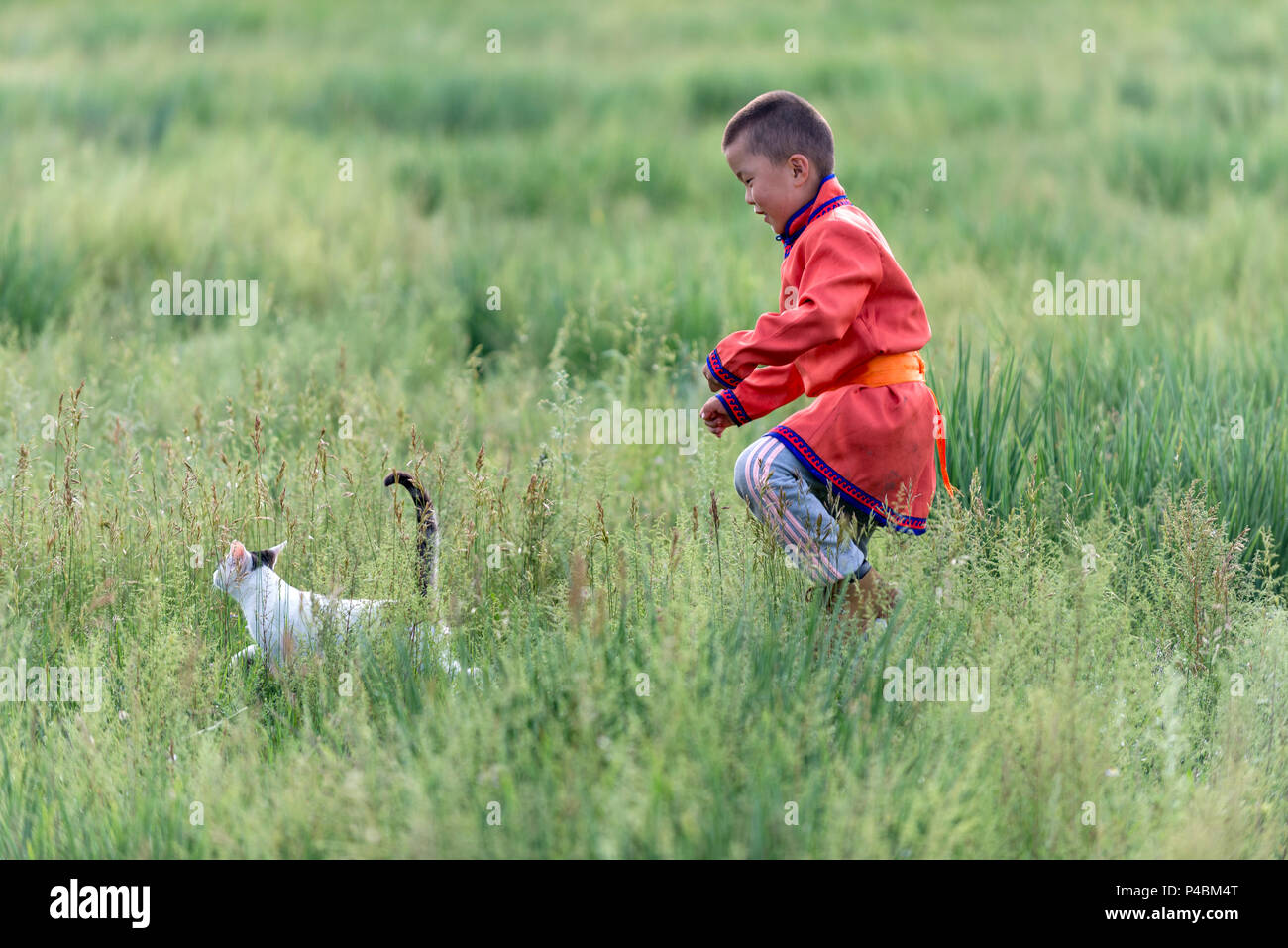 A Mongolian child his cat through tall grass, Zhenglanqi Wuyi, Inner Mongolia, China Stock Photo