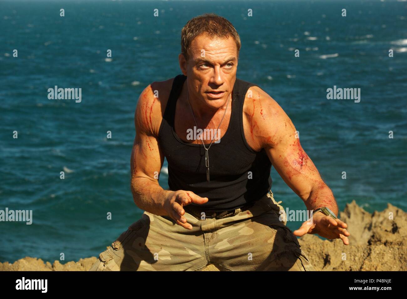 Original Film Title: WELCOME TO THE JUNGLE. English Title: WELCOME TO THE  JUNGLE. Film Director: ROB MELTZER. Year: 2013. Stars: JEAN-CLAUDE VAN  DAMME. Credit: PRIVATE ISLAND TRAX / Album Stock Photo - Alamy