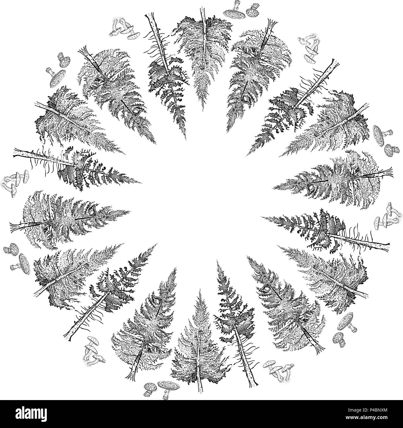 Forest round frame: fir tree, spruce, mushrooms. Wreath for invitation, greeting cards, pattern design, decoration, textile print, advertisement. Romantic, vintage, nature, magic, engraving style. Stock Vector