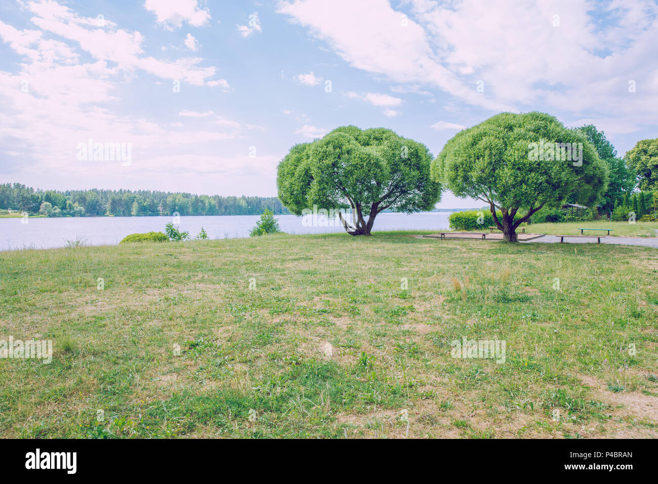 City Ogre, Latvia. Two trees, river and blue sky. Nature and sunny day. Travel photo 2018. Stock Photo