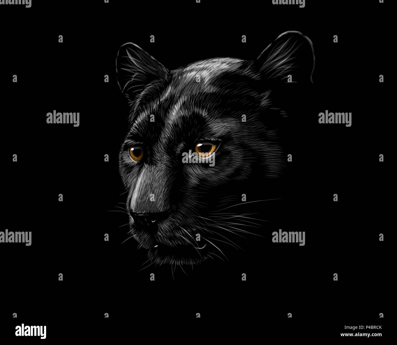 Indoor cat view Stock Vector Images - Alamy