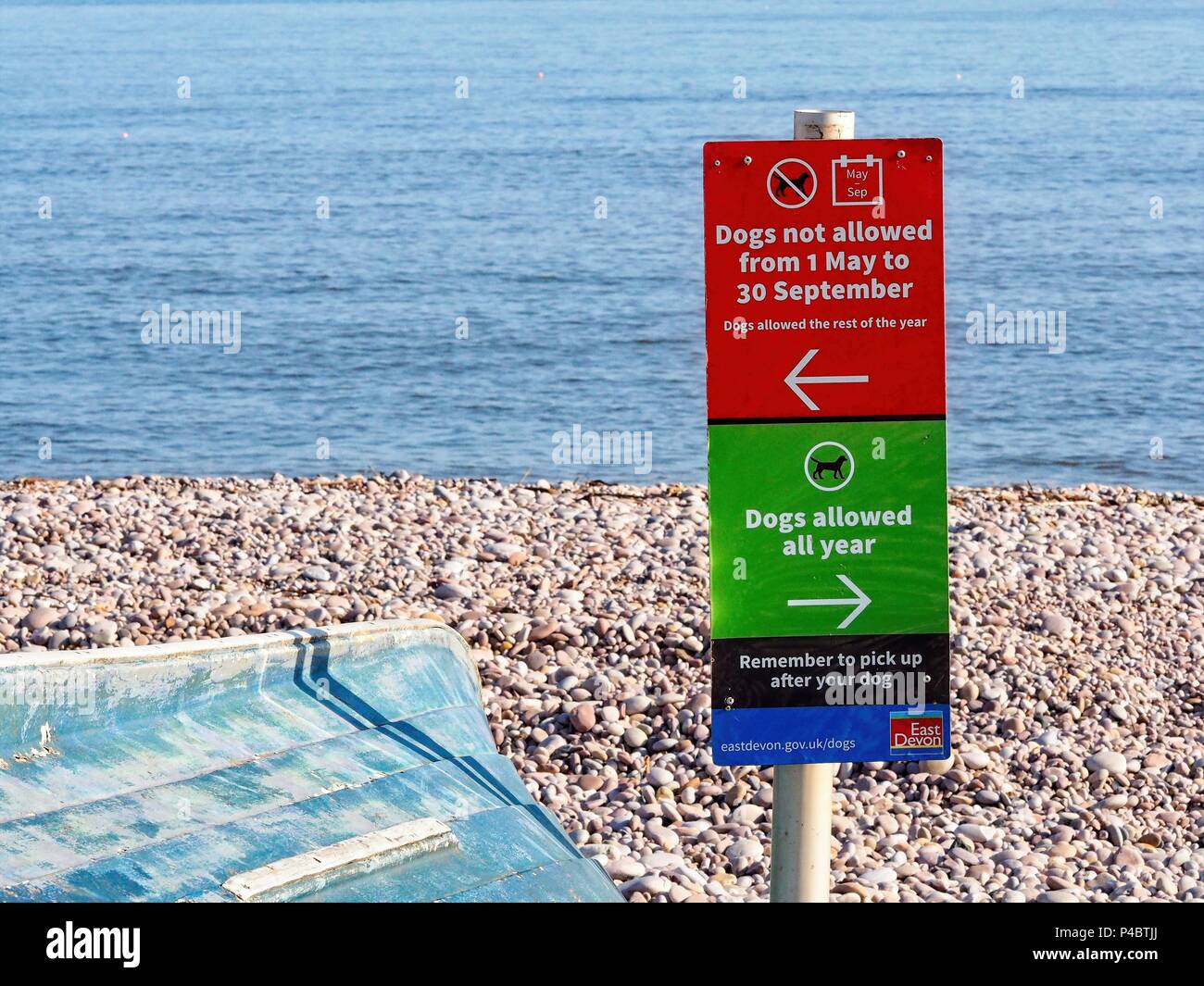 DOGS NOT ALLOWED SIGN ON BEACH AT BUDLEIGH SALTERTON Stock Photo Alamy