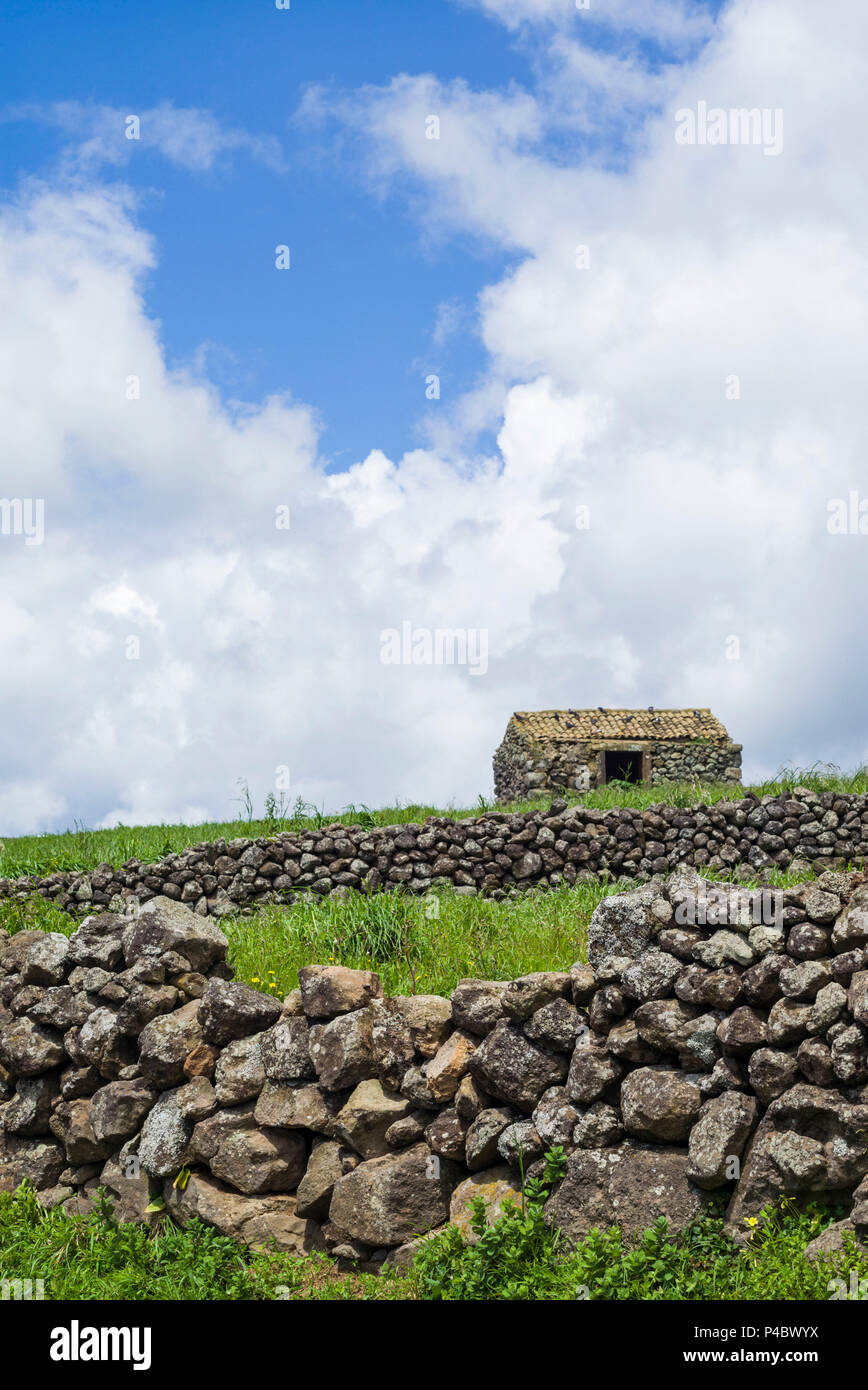 Portugal, Azores, Terceira Island, Serra do Cume, stone wall Stock Photo