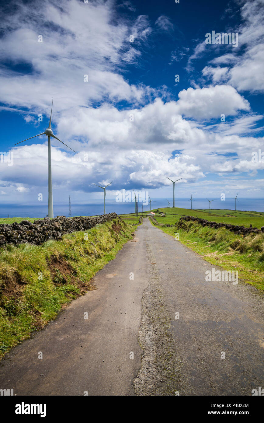 Portugal, Azores, Terceira Island, Serra do Cume, windmills Stock Photo