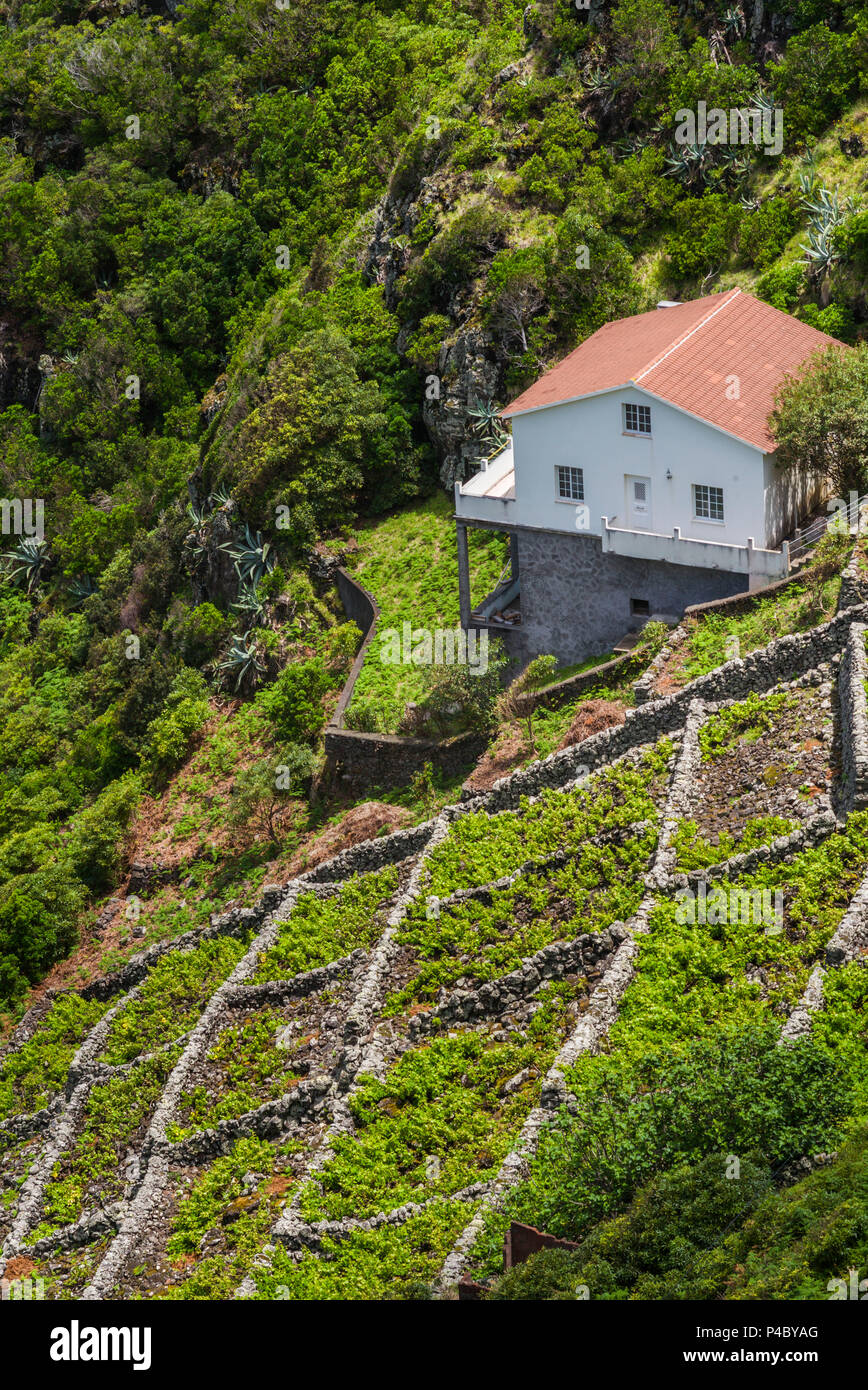 Carte Postale Ancienne – Santa Maria, Açores – Vallée De Valverde – Elisabeth (occasion)