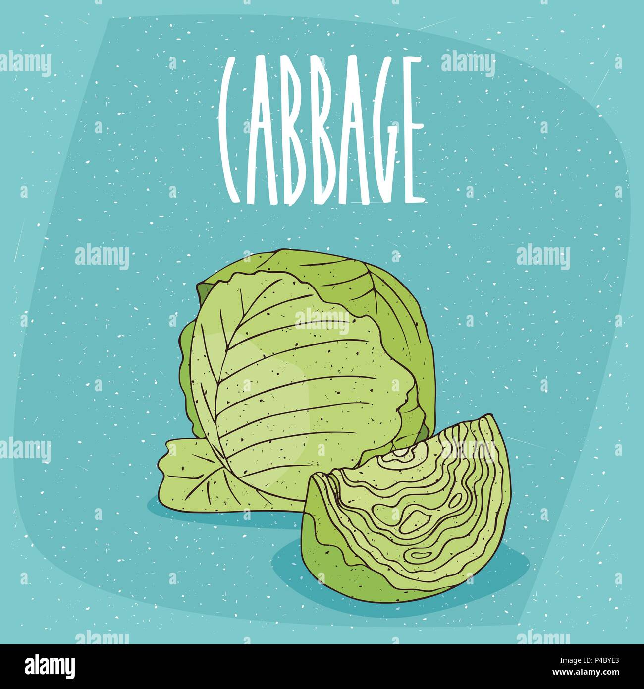 Realistic line whole green Stock Vector Images - Alamy