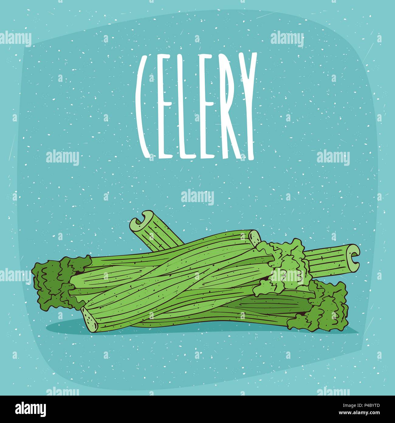 Featured image of post How To Draw A Celery Stalk Final words on how to draw arms