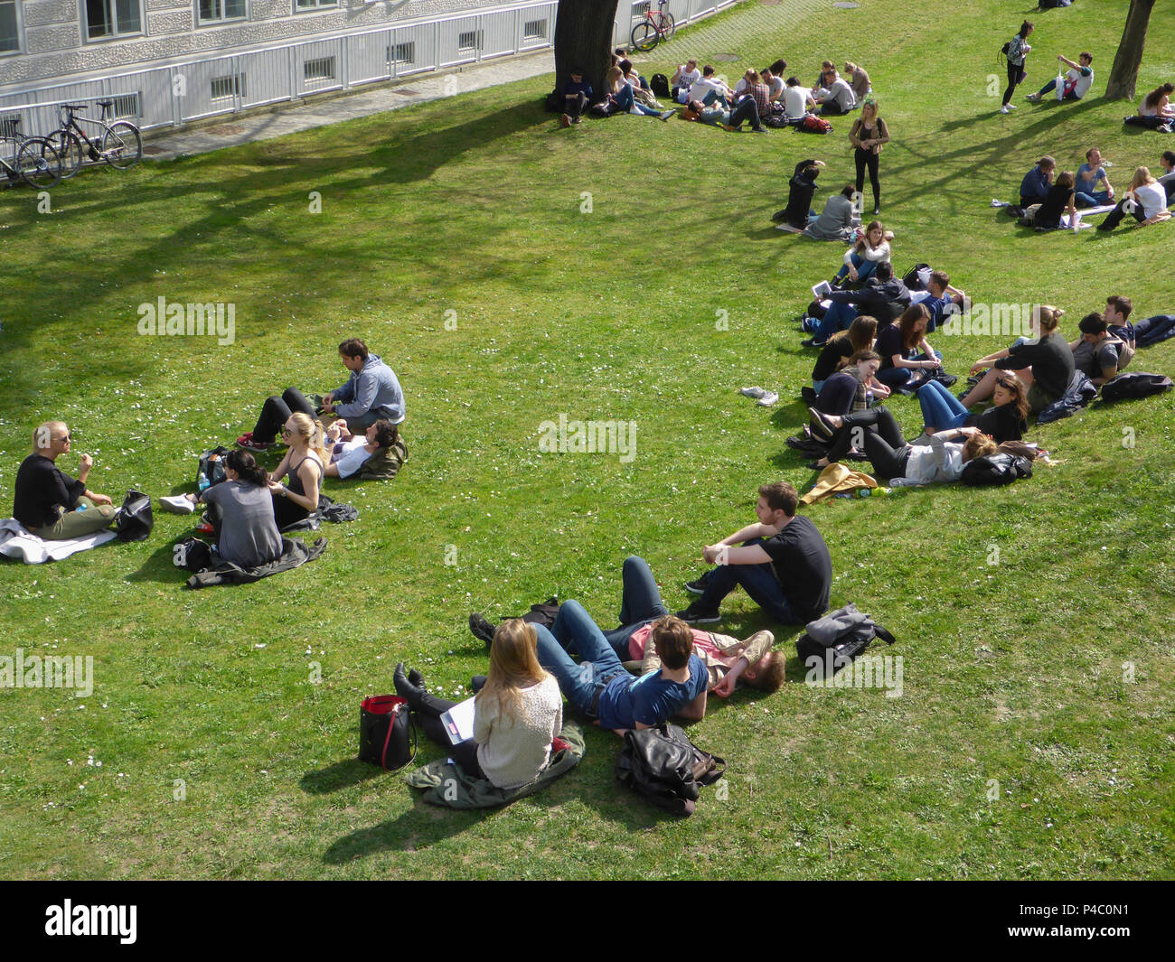 Vienna, students sitting and lying at meadow at Medizinische Universität (Medical University), 09. Alsergrund, Wien, Austria Stock Photo