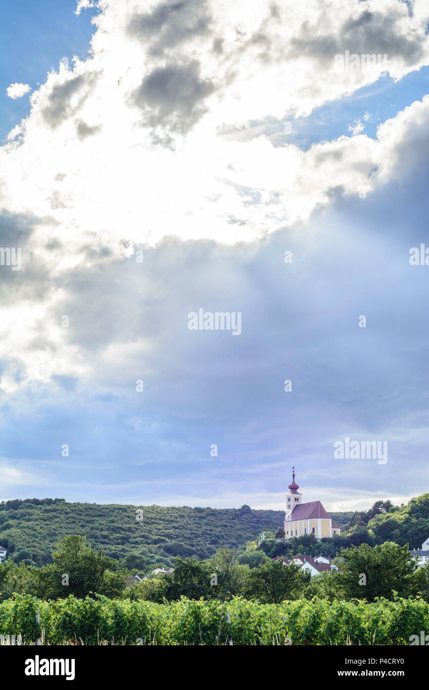 Donnerskirchen, church, vineyard, mountain Leithagebirge, Neusiedler See (Lake Neusiedl), Burgenland, Austria Stock Photo