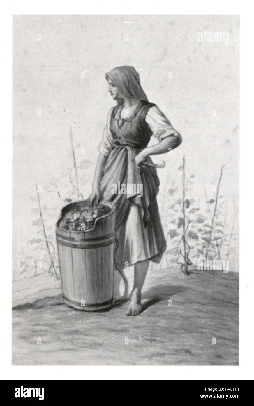 127 Winzerin aus der Luttenberger Gegend, Aquarell von J. Lepuschütz, 1892. Stock Photo