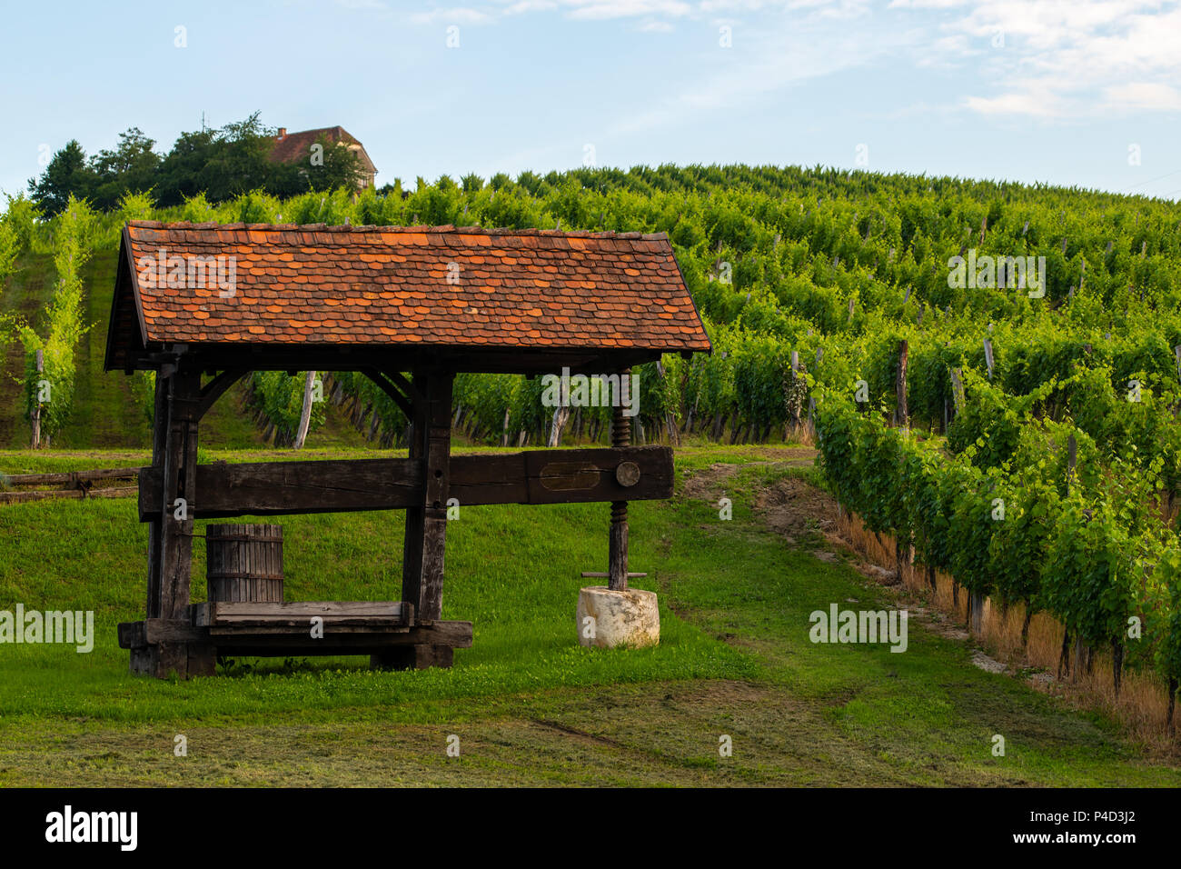 Traditional old grapes, vine press in vineyard, tourist attraction on the vine road in Slovenske Konjice, Slovenia Stock Photo