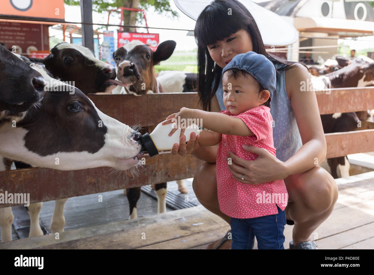 Can We Give Cow Milk To Newborn Puppy