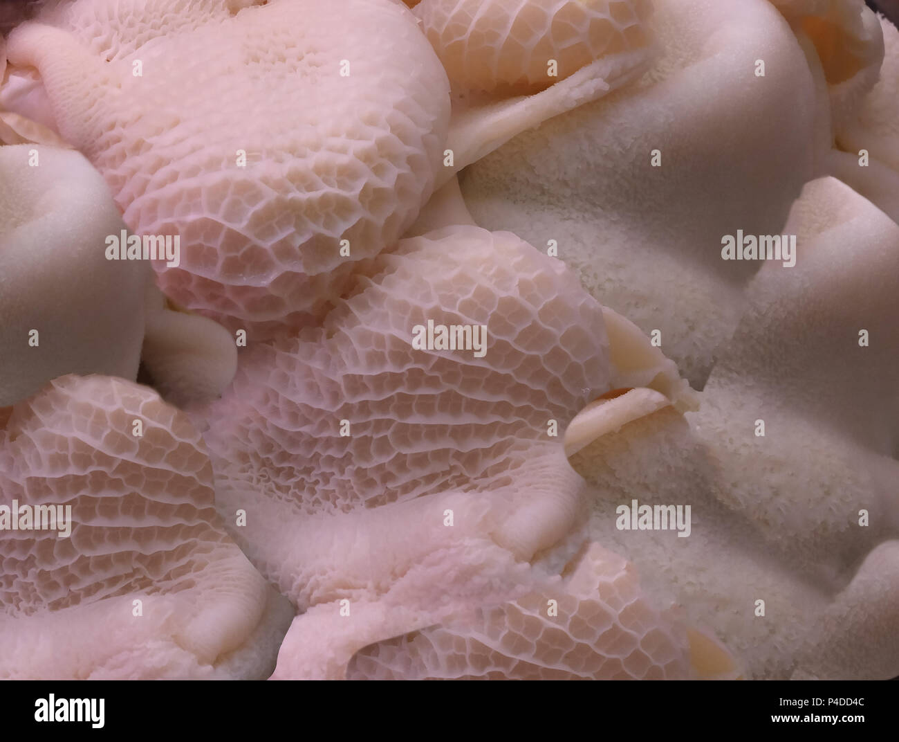 green tripe from butcher