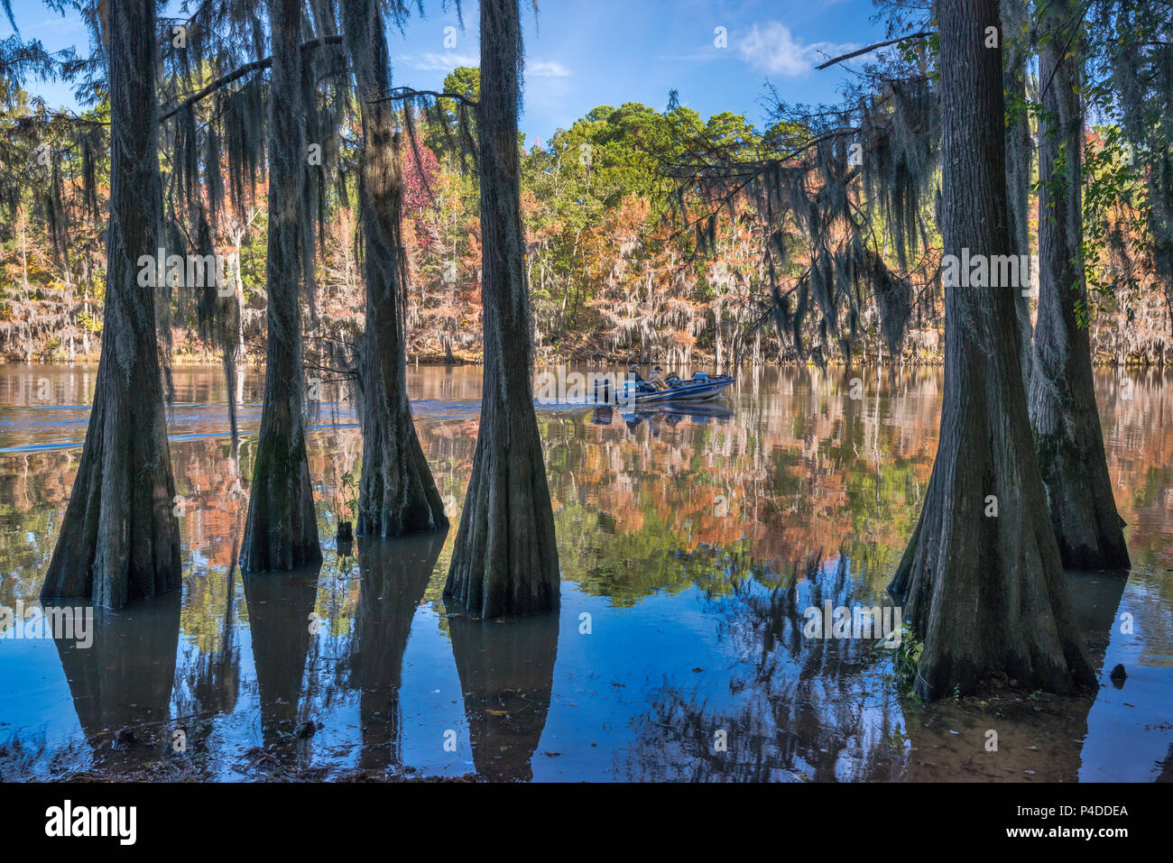 Big cypress texas hires stock photography and images Alamy