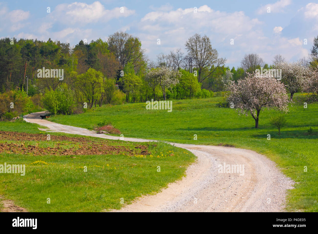 Spring landscape with rural road. Poland, The Holy Cross Mountains. Stock Photo