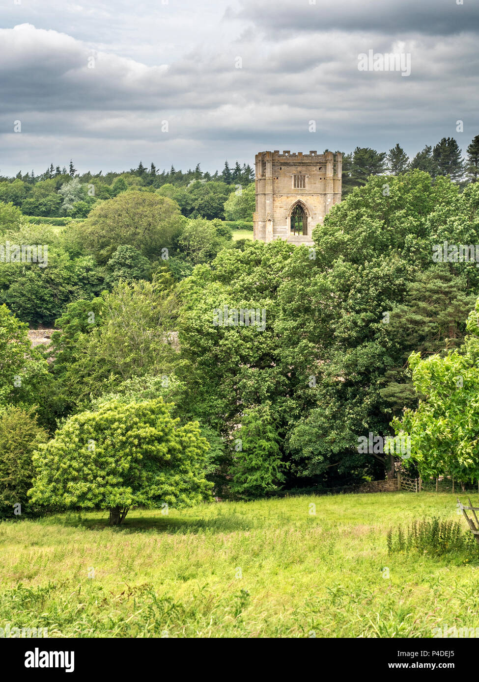 The tower of Fountains Abbey amongst trees from the Abbey Wall public