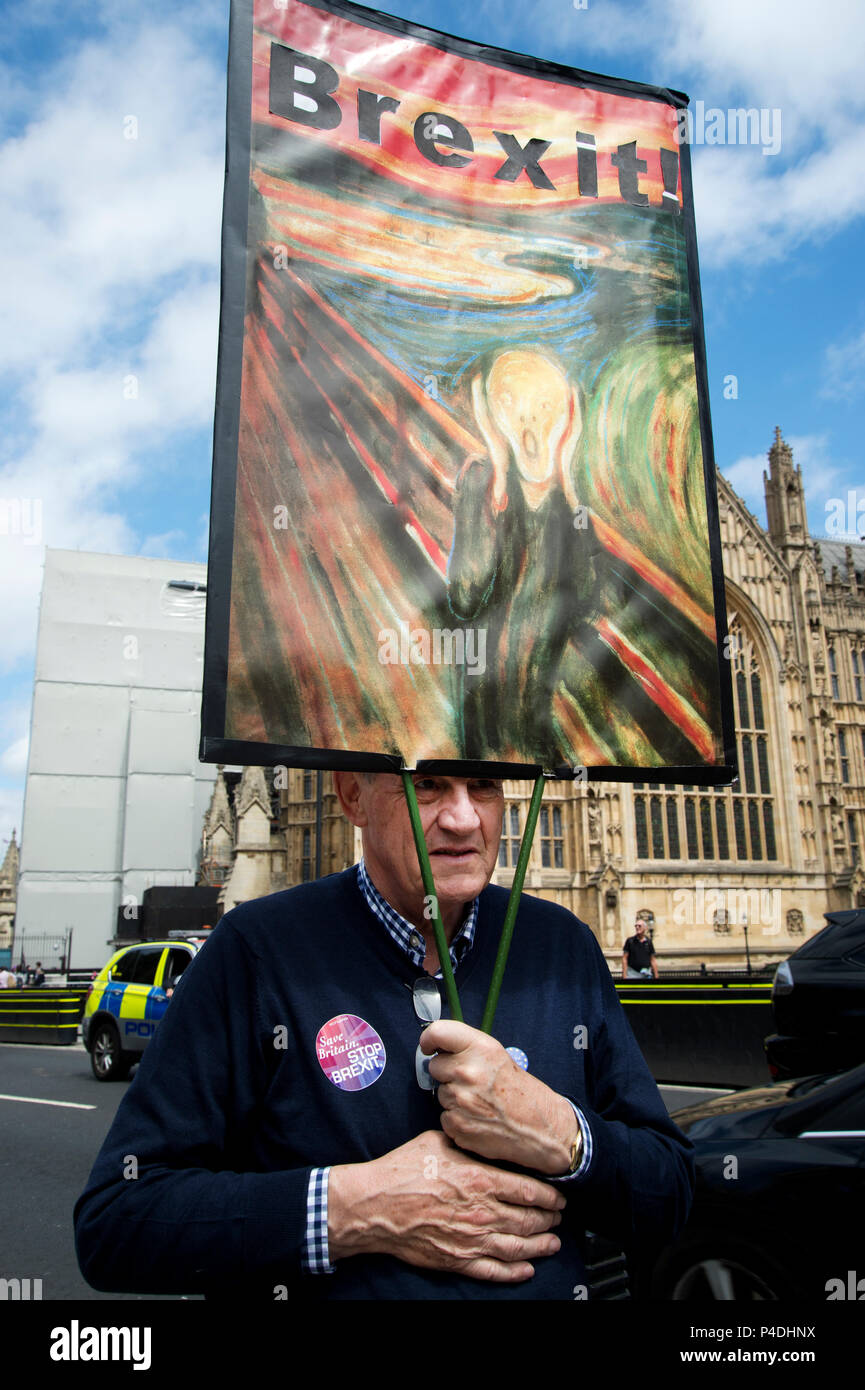 Protesters outside Parliament, Westminster, London as Members of Parliament debate the European Union withdrawal bill, June 20th 2018. A protester fro Stock Photo
