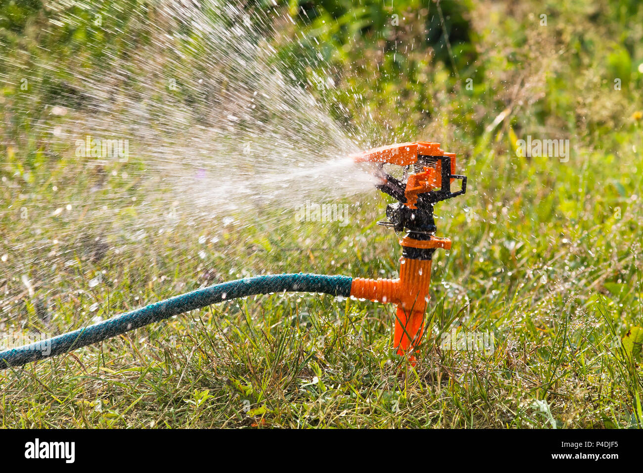 garden sprinkler spraying water over green grass Stock Photo Alamy