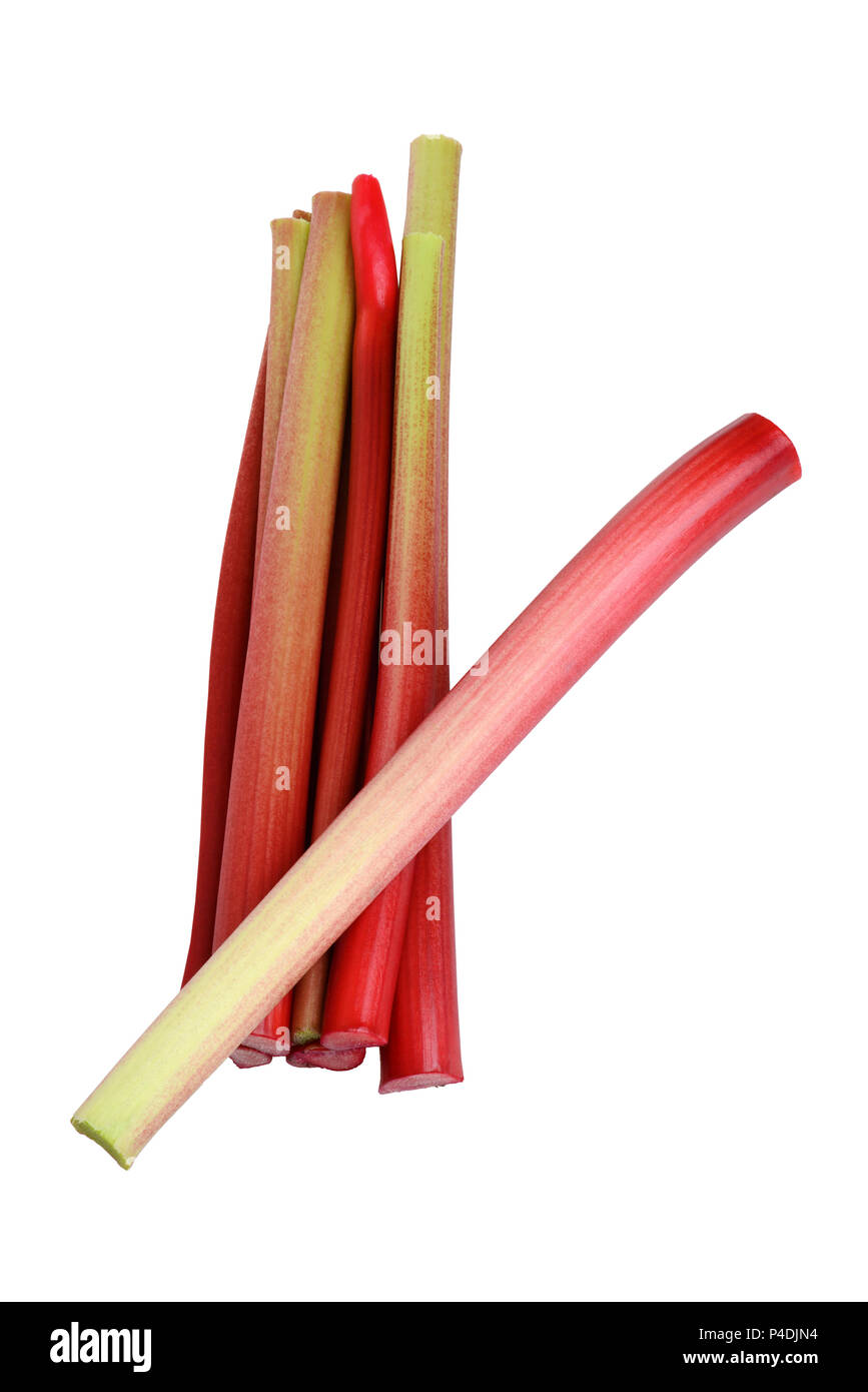 isolated fresh rhubarb stalks Stock Photo