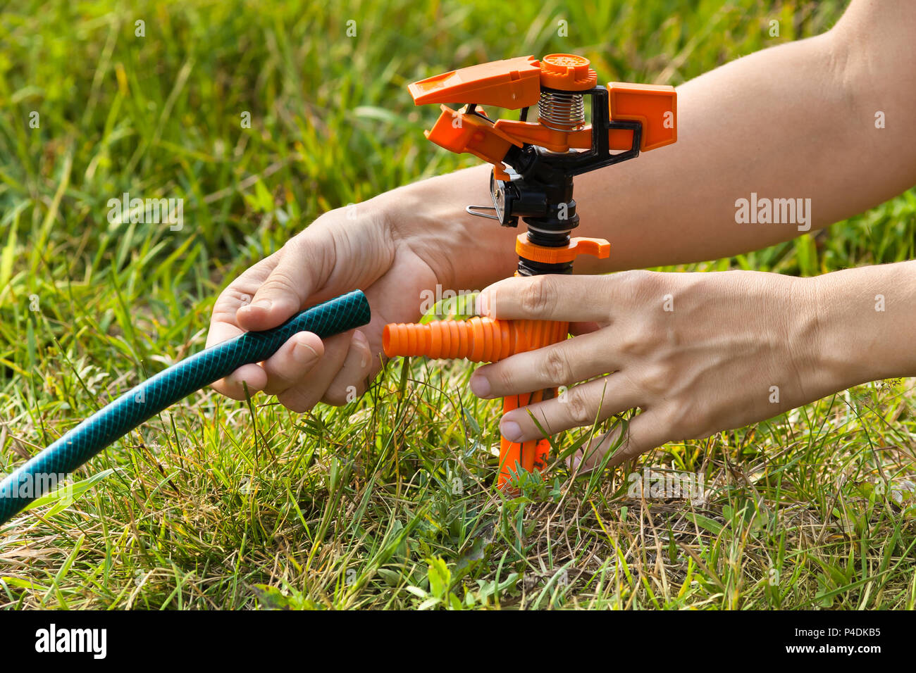 hand installing sprinkler for garden irrigation, closeup Stock Photo