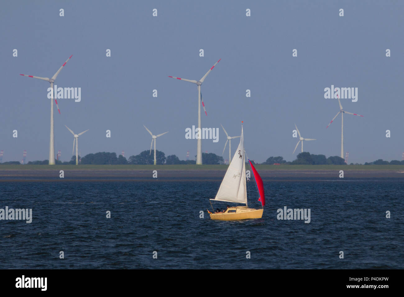 A small yellow day sailing yacht in the Baltic Sea in front of a wind farm, at sunrise. Stock Photo