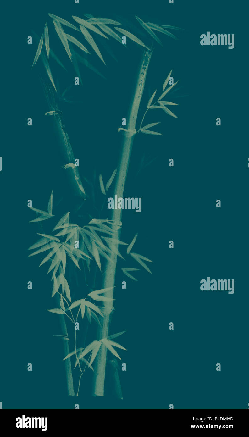 Three stalks of bamboo tree with leaves artistic oriental style