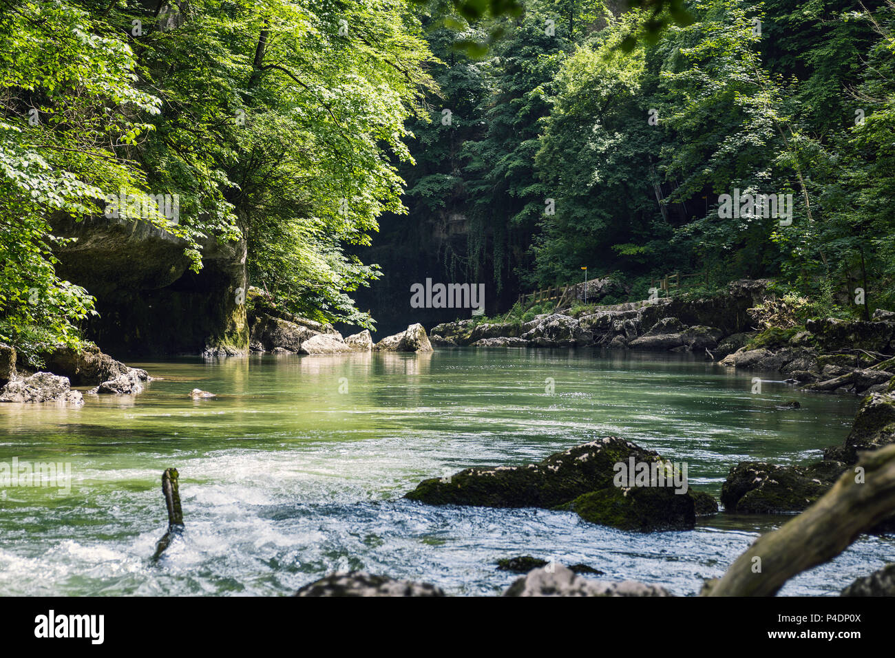 Lost in the jungle hi-res stock photography and images - Alamy