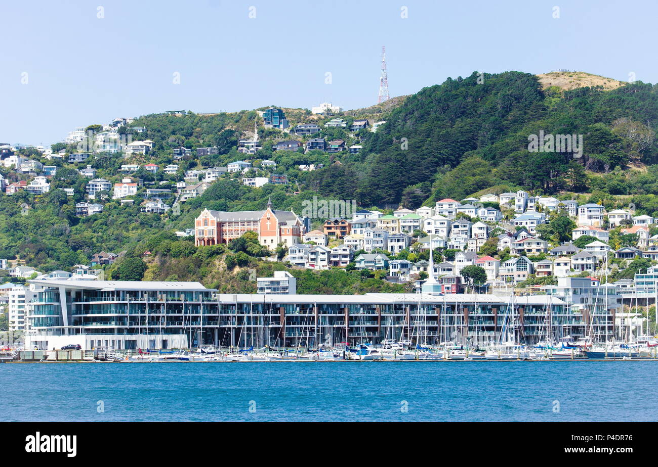 boats moored at Clyde Quay Wharf inside Wellington Harbour with Mount Victoria in the background. Stock Photo