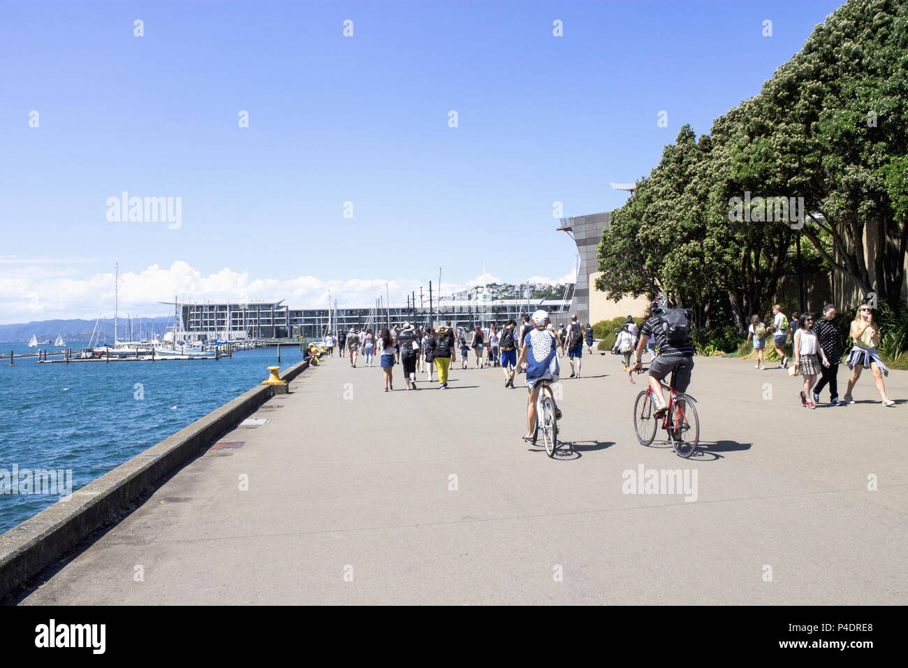 Wellington, New Zealand - 13 February  2016: People out enjoying sunny weather in summer along the Wellington Waterfront with copy space. Stock Photo