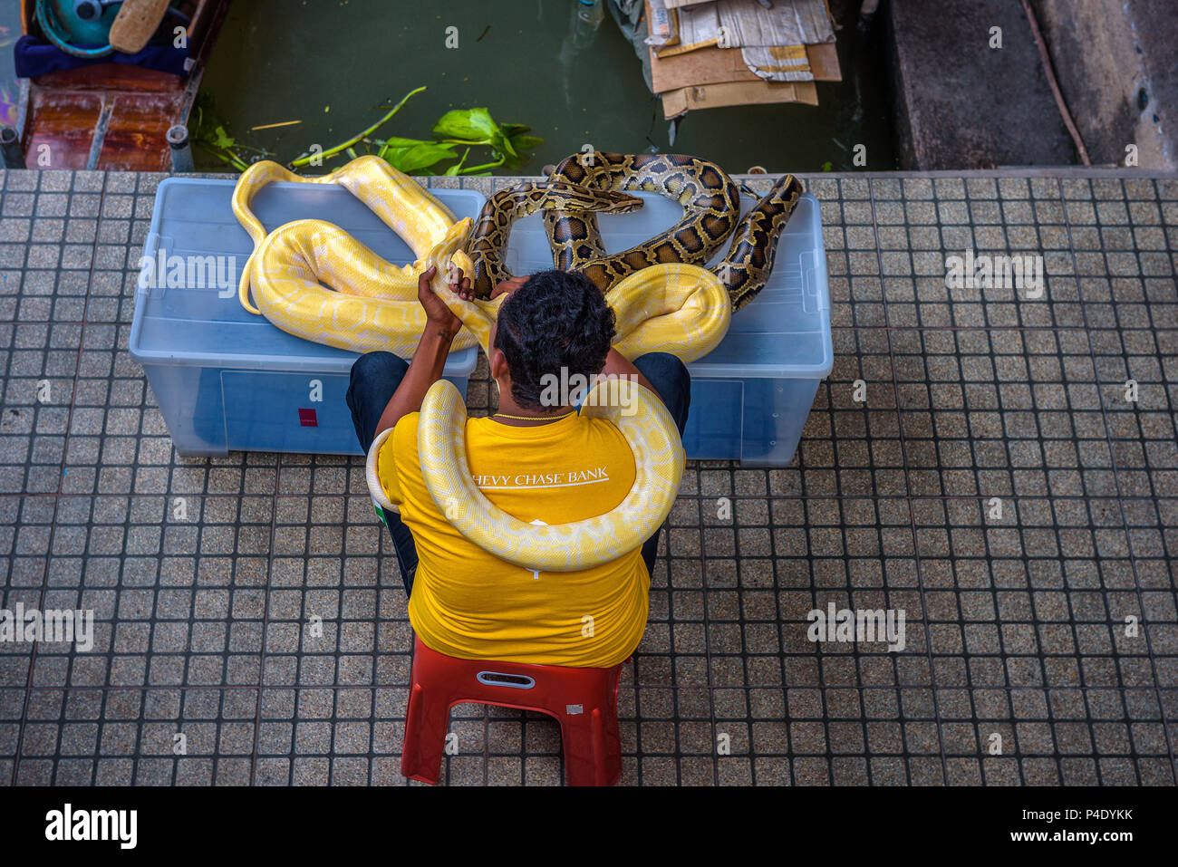 Local salesman offers pictures with a python to tourists in Thailand Stock Photo