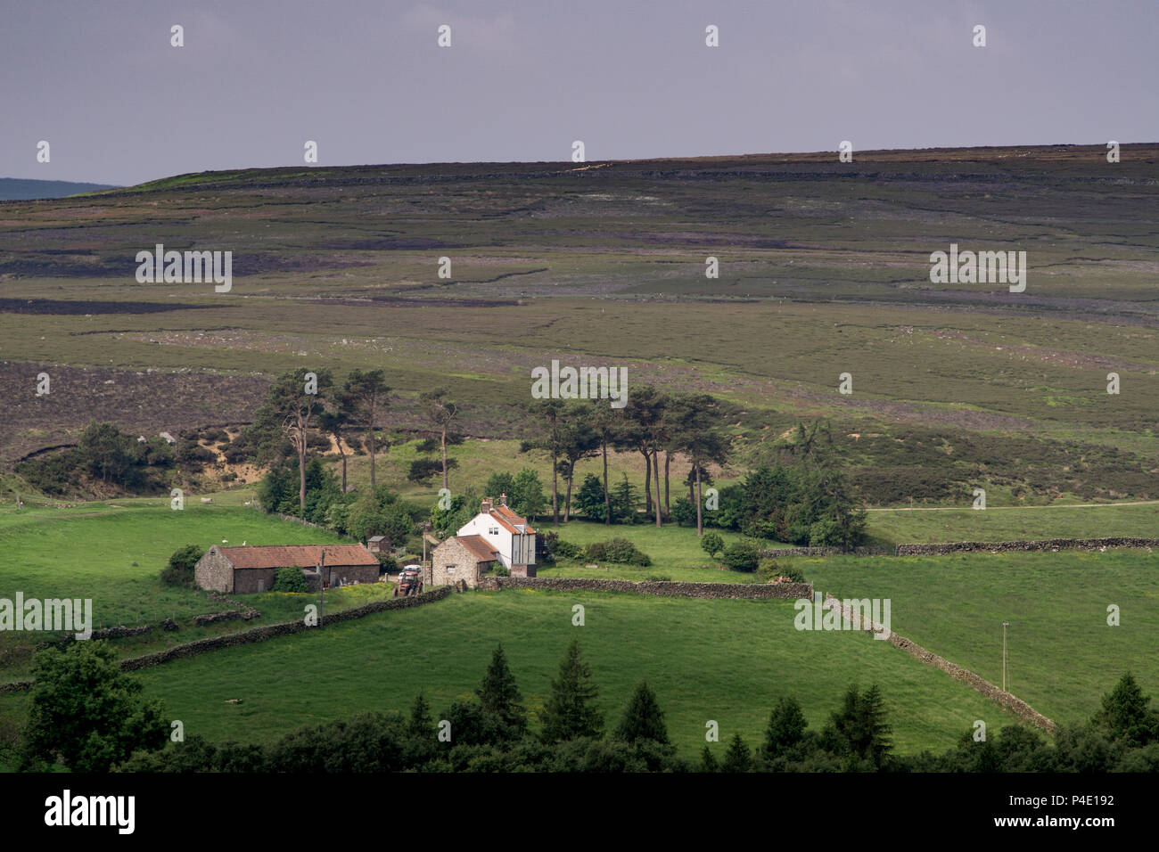 North Yorkshire moors. North east of England. Stock Photo