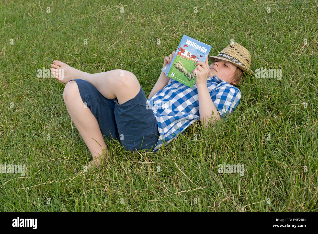 boy reading lying on a meadow Stock Photo - Alamy