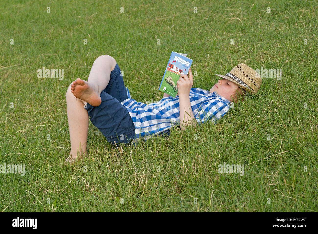 boy reading lying on a meadow Stock Photo - Alamy