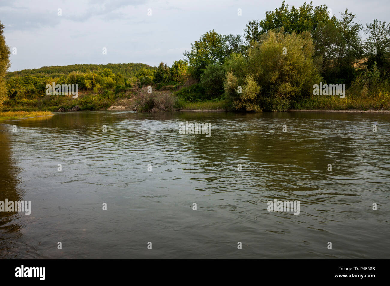Beautiful forest landscape river hi-res stock photography and images ...