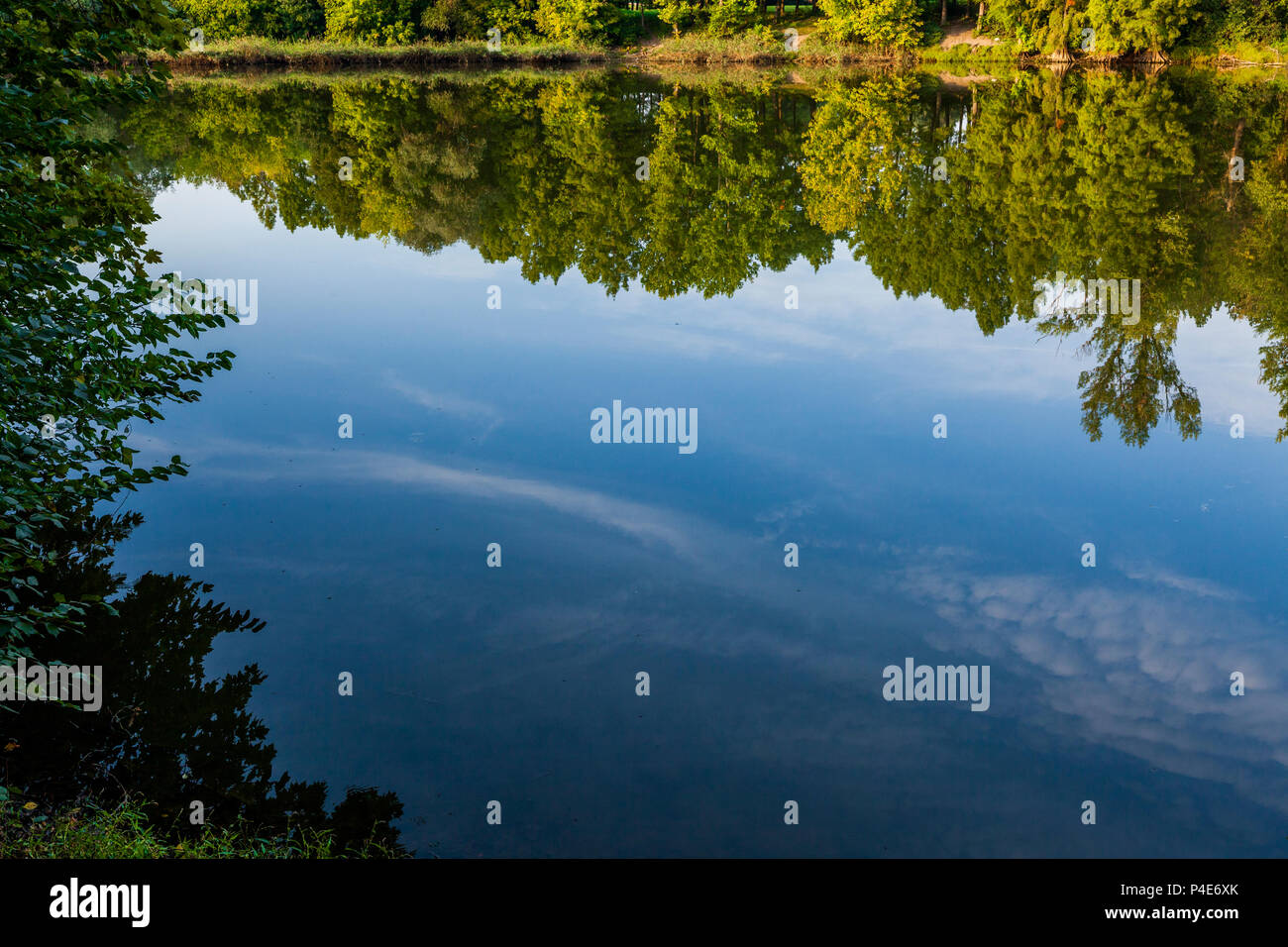 Trees and Blue sky are reflecting in forest lake Stock Photo - Alamy
