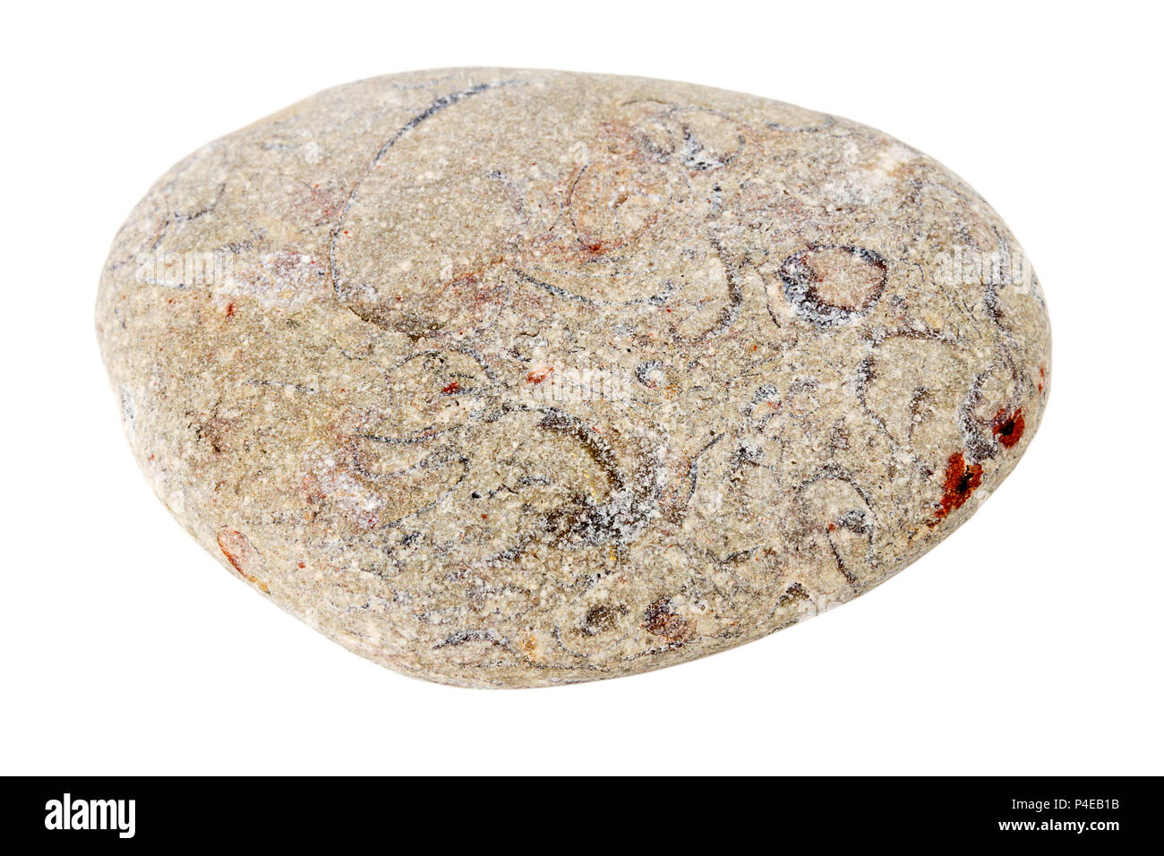 Sea stone isolated on white background. Gray rounded pebble Stock Photo