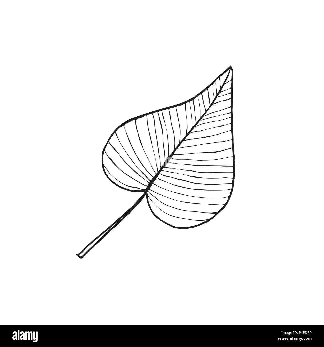 How to Draw a Leaf - Easy Drawing Tutorial For Kids