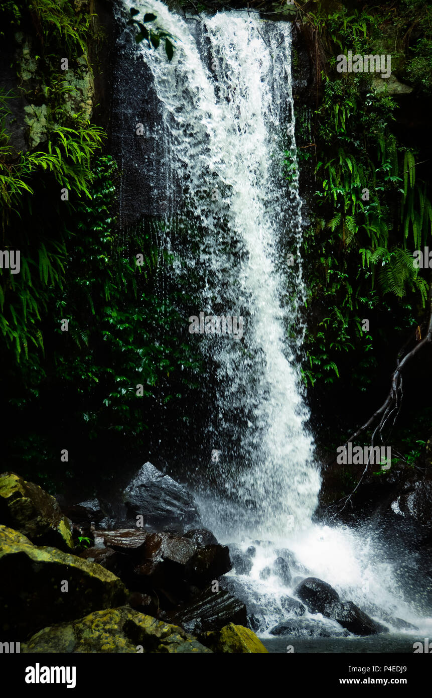 Mount tamborine waterfall hires stock photography and images Alamy