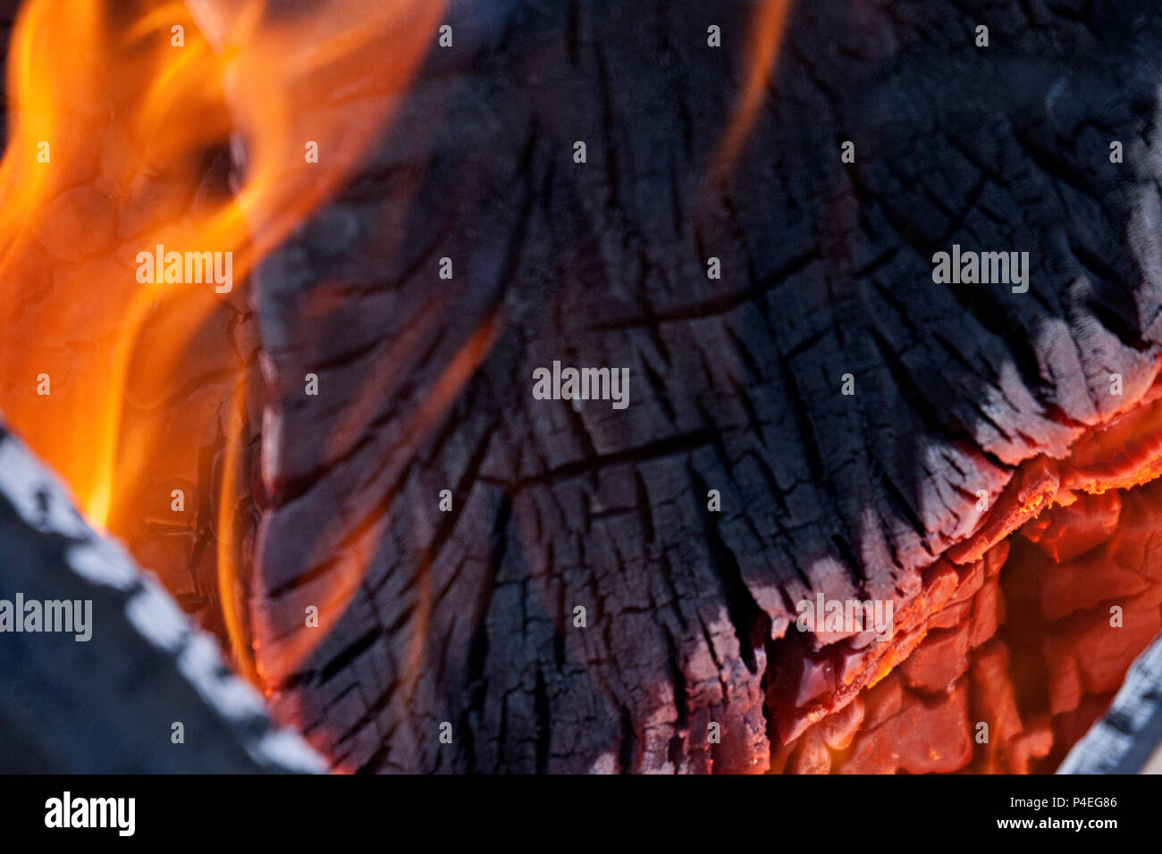 Burning fire wood closeup hi-res stock photography and images - Alamy