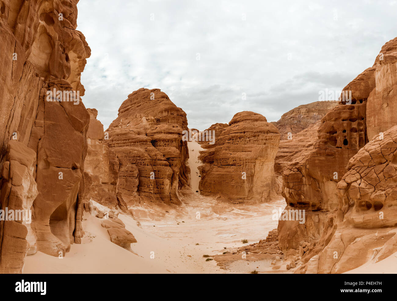 White Canyon Sinai Peninsula, Egypt Stock Photo