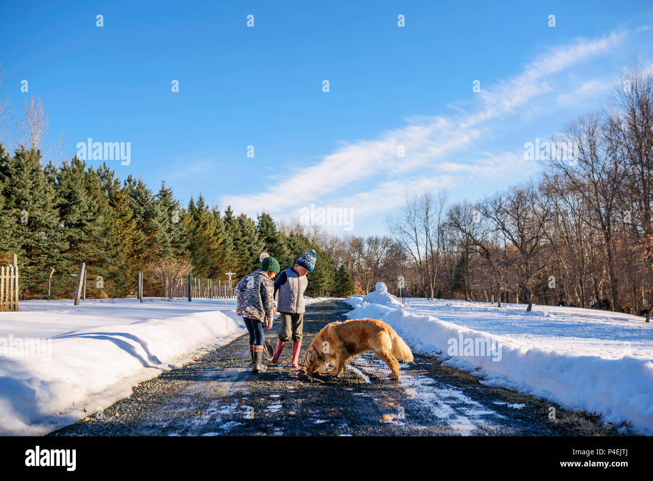 Two children playing in snow with their golden retriever dog Stock Photo