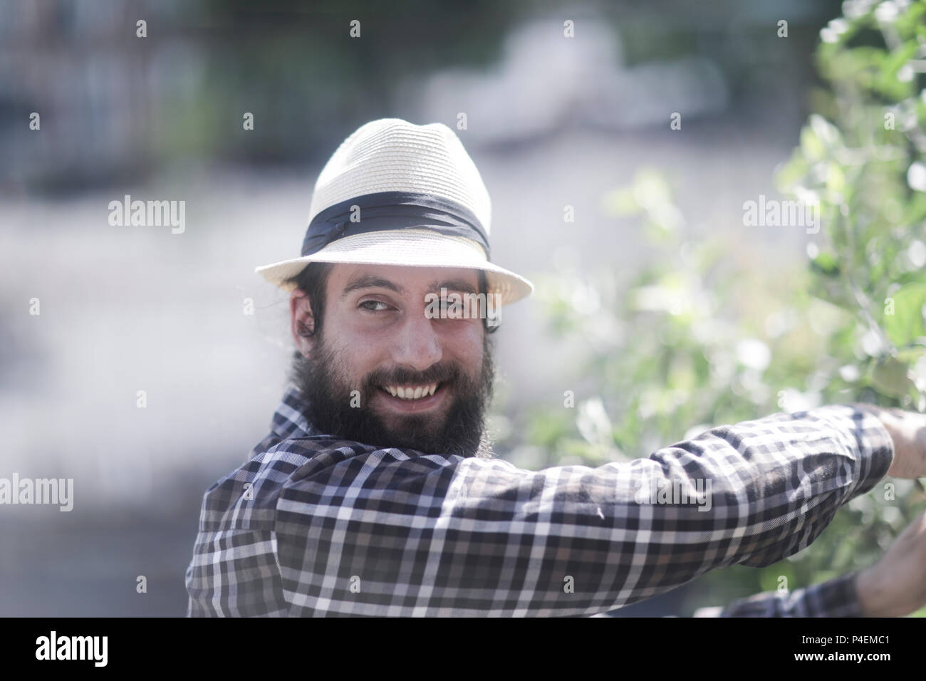 Smiling Man standing in the garden pruning a shrub Stock Photo