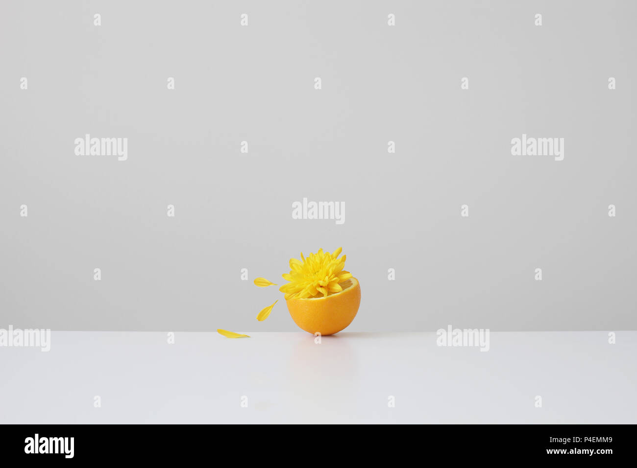 Conceptual orange juice spilling out of half an orange Stock Photo