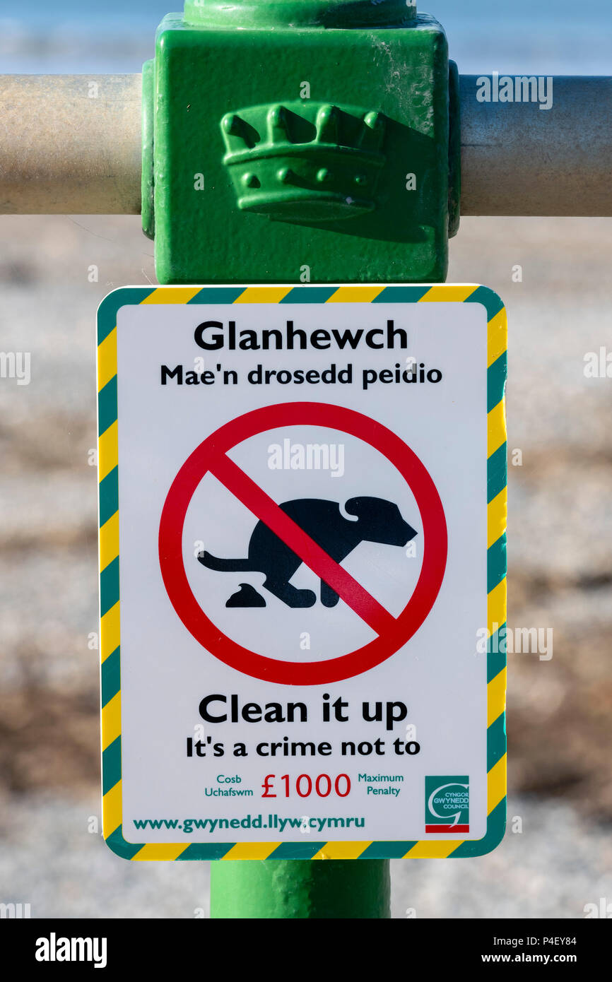 Welsh language sign, Clean up dog poo. Stock Photo