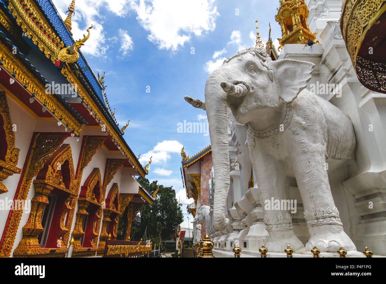 beautiful white elephant sculpture at thai temple Stock Photo Alamy