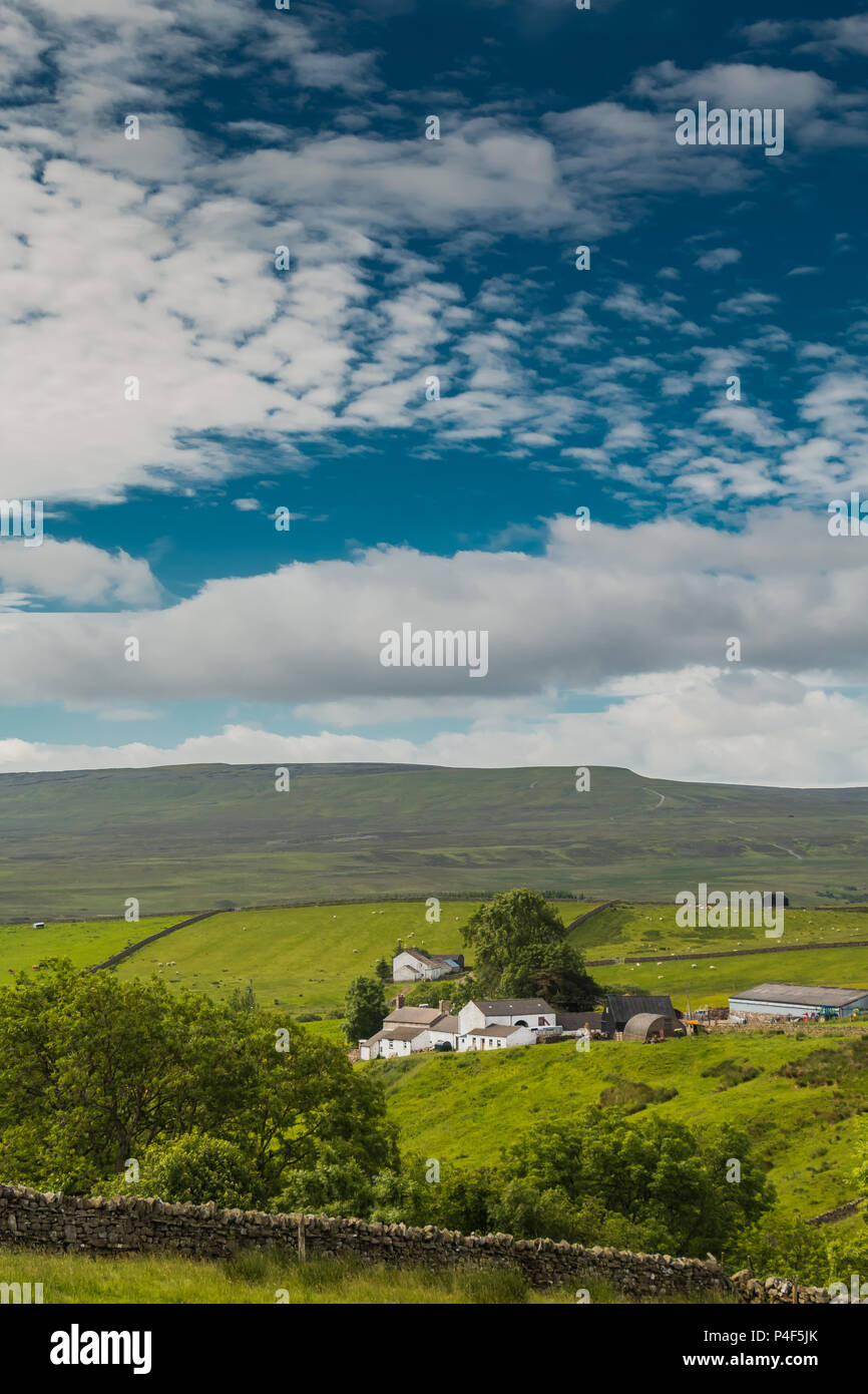 A typical Upper Teesdale whitewashed hill farm at Birch Bush, Ettersgill, North Pennines AONB, UK, with copy space Stock Photo