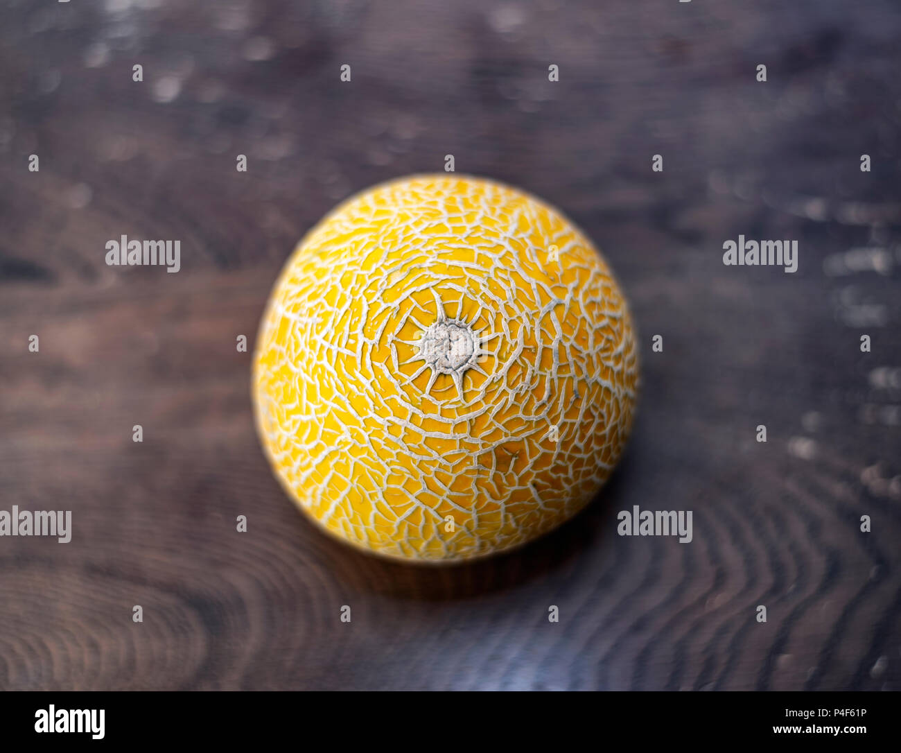 Organic Galia Melon Stock Photo - Alamy