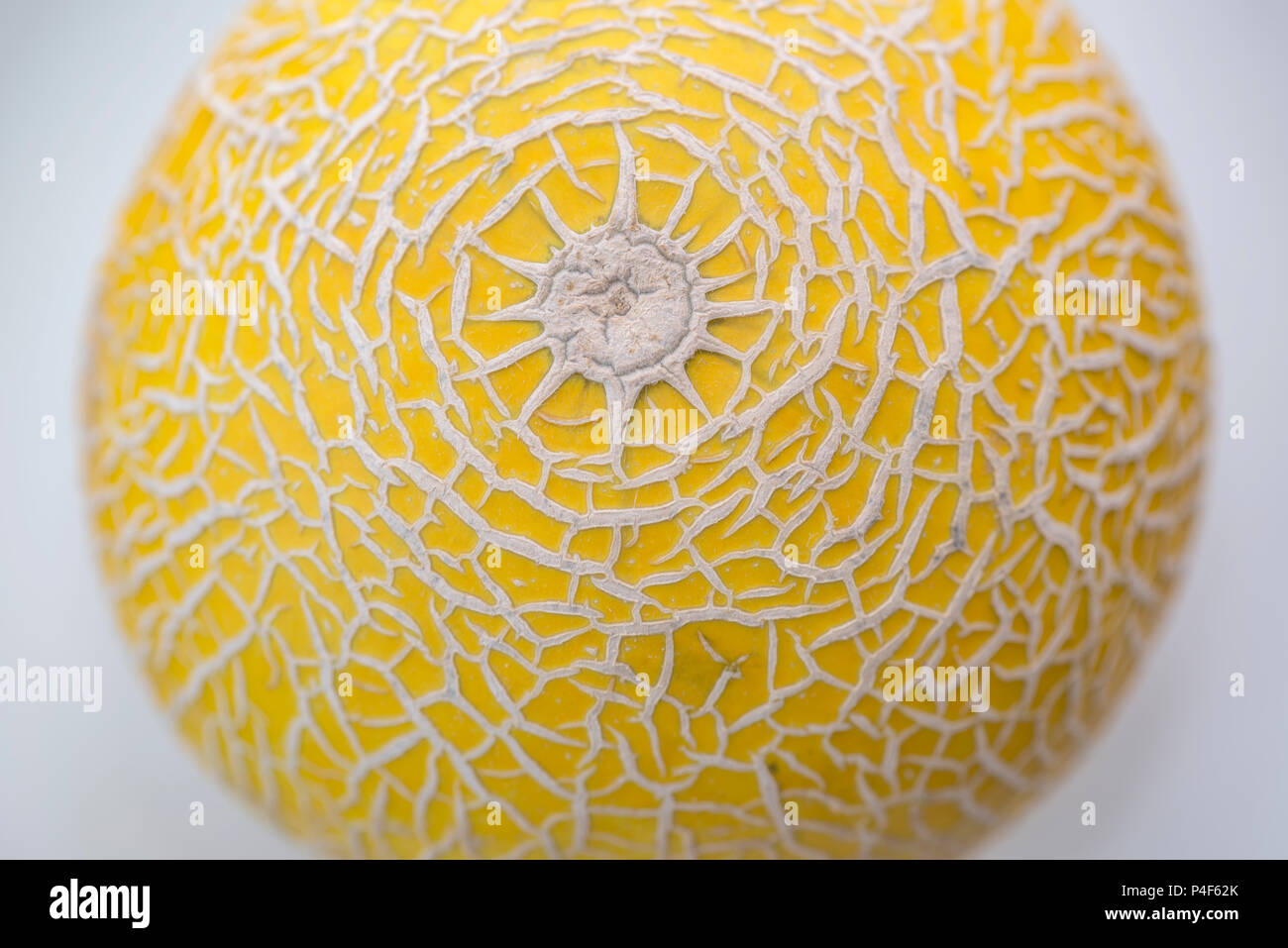 Organic Galia Melon Stock Photo Alamy