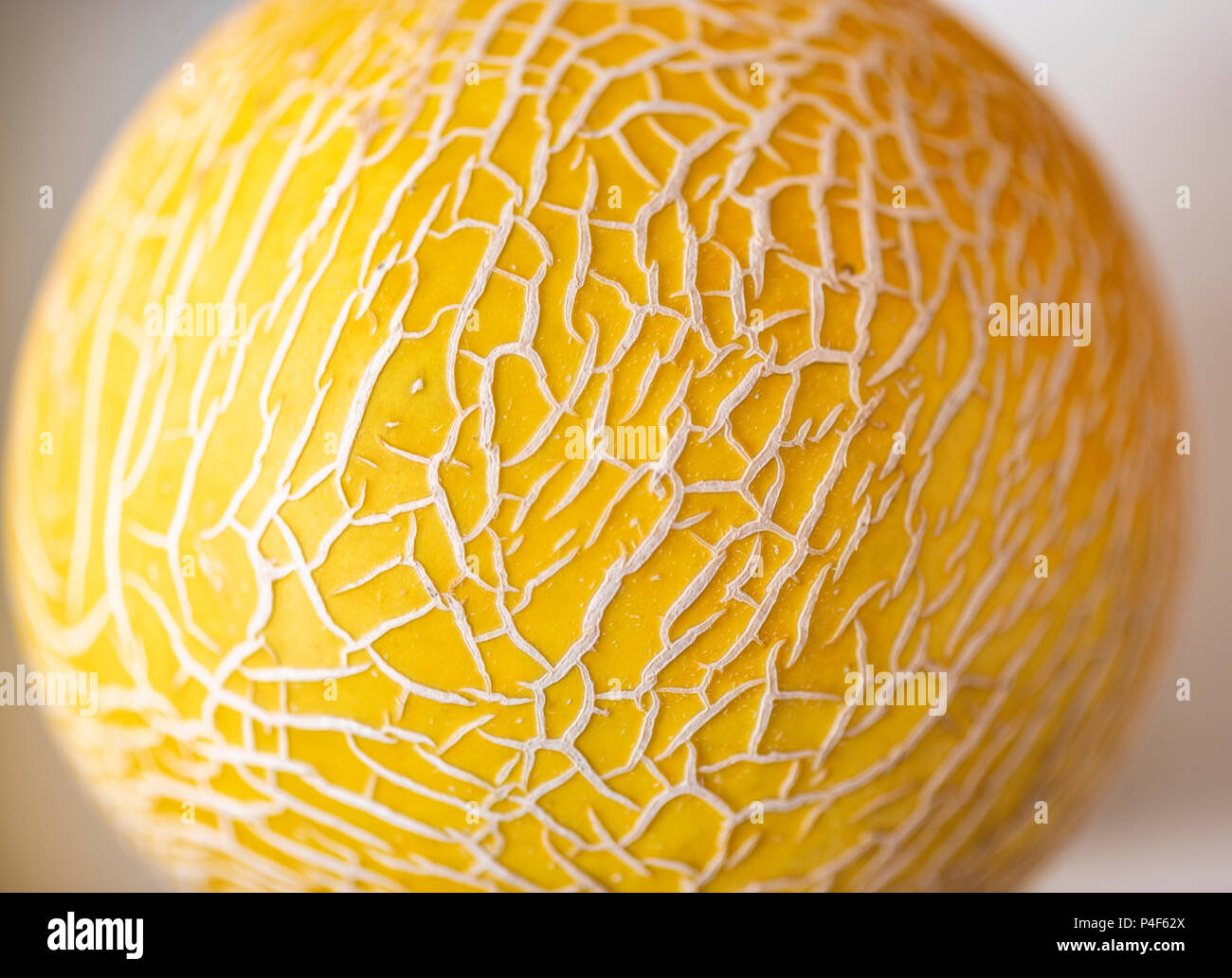 Organic Galia Melon Stock Photo Alamy
