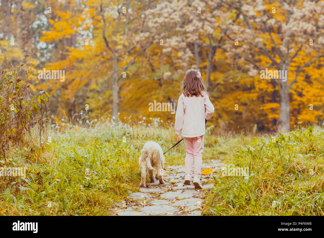 The girl and her golden retriever dog Stock Photo - Alamy